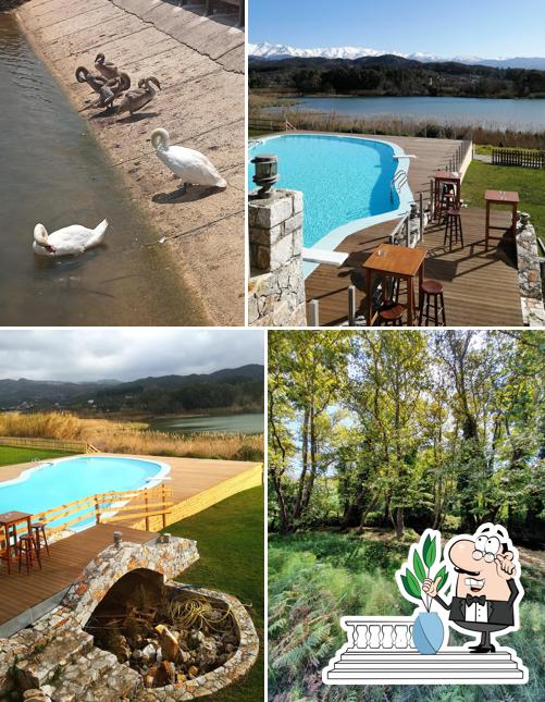 Café Agia Lake