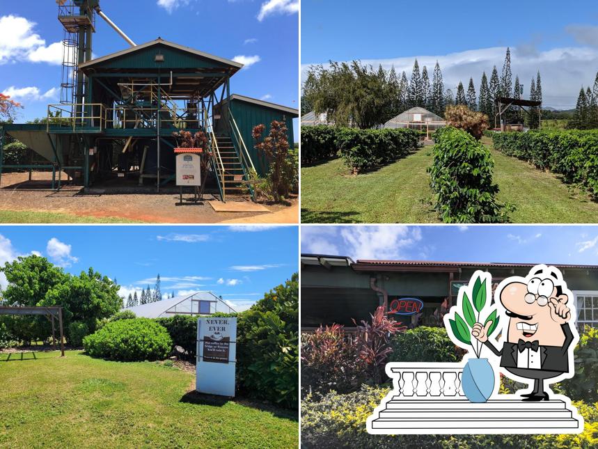 Kauaʻi Coffee Company