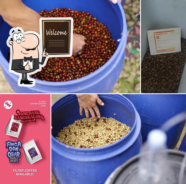 Cup A Coffee Roaster