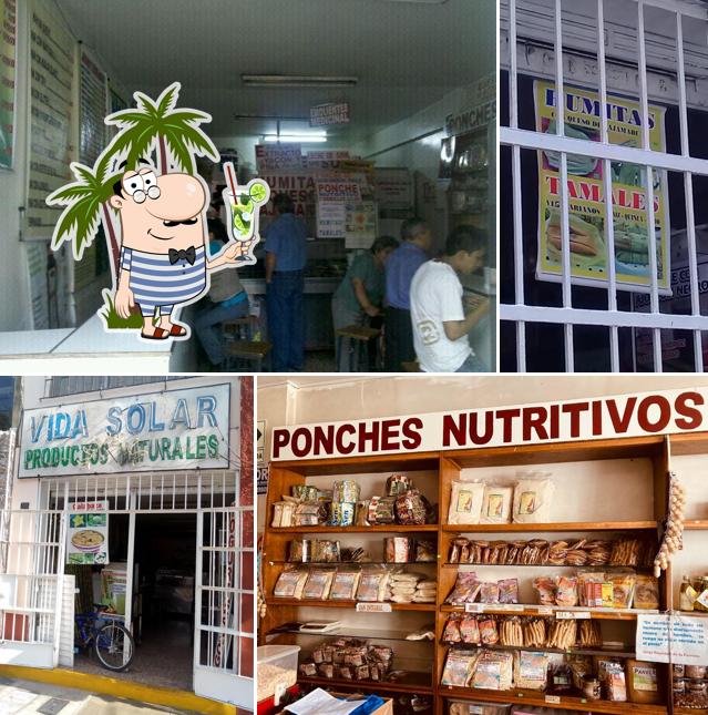 VIDA SOLAR