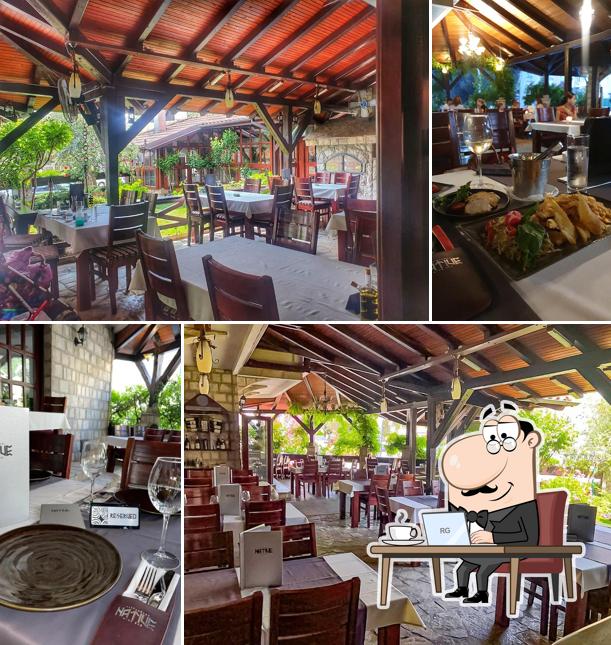 Native Restaurant & Wine Bar