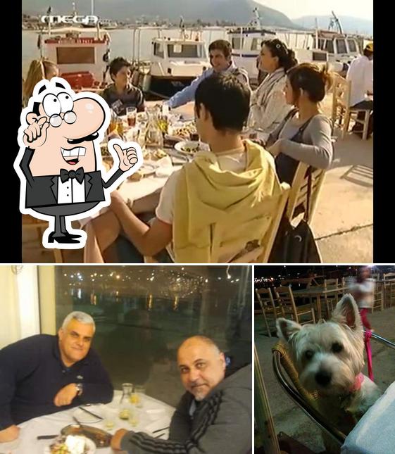 Αγκυροβολι ουζερι