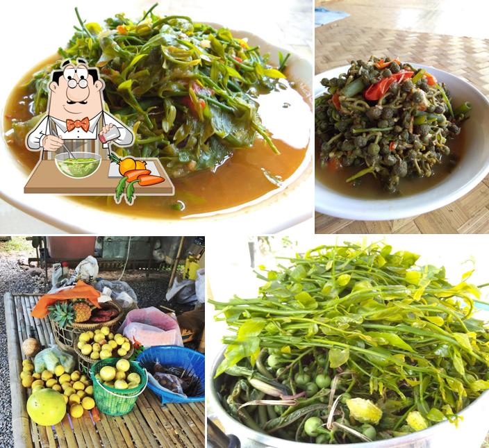 Vegan Camp Thailand