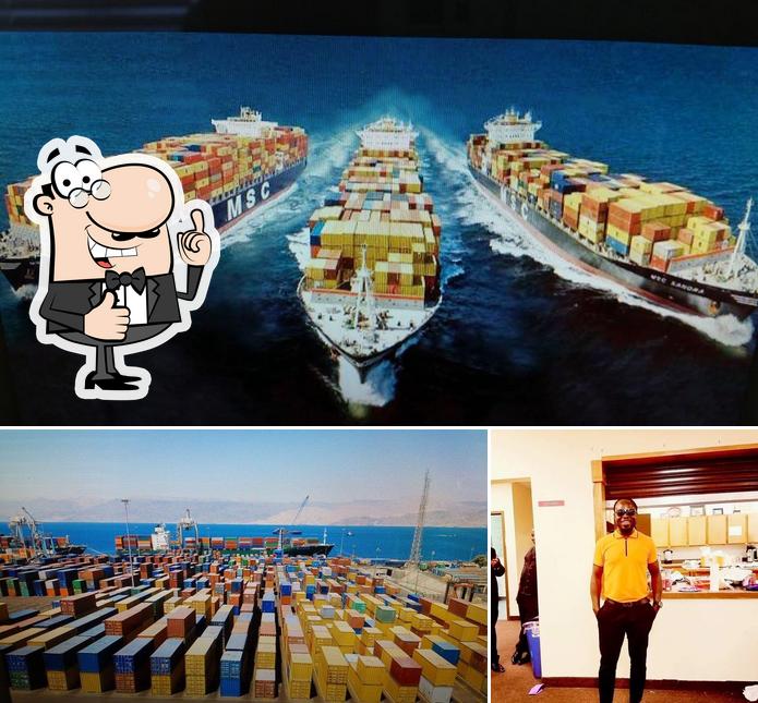 TRANS Import & Export