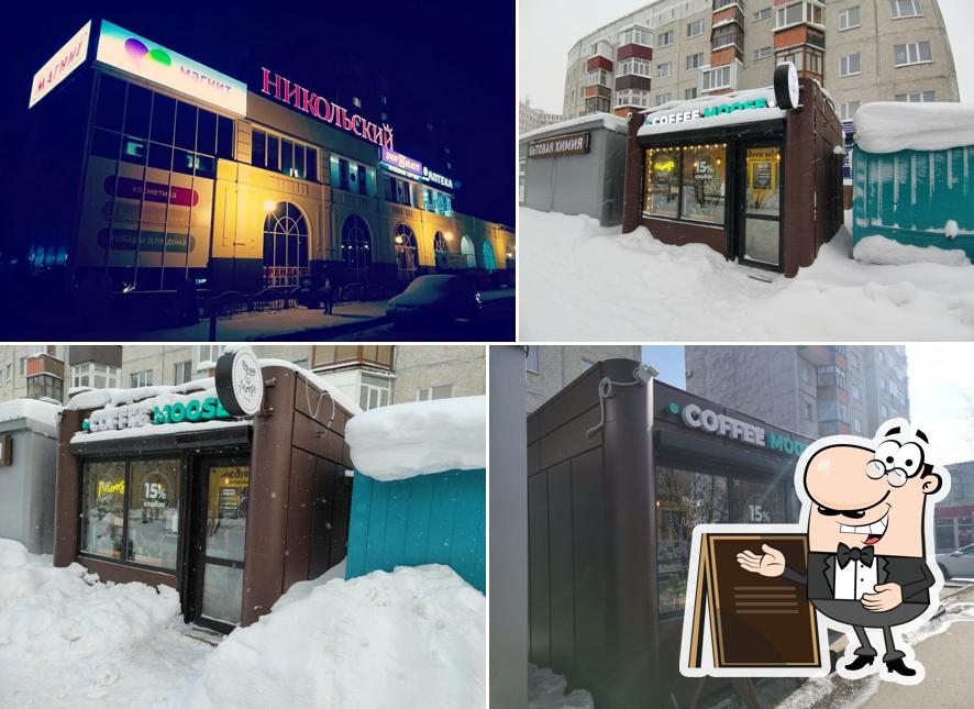 Coffee Moose