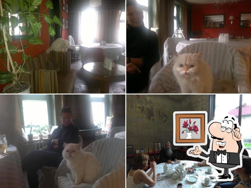 Клуб выпускников МГУ "Имени Ломоносова"