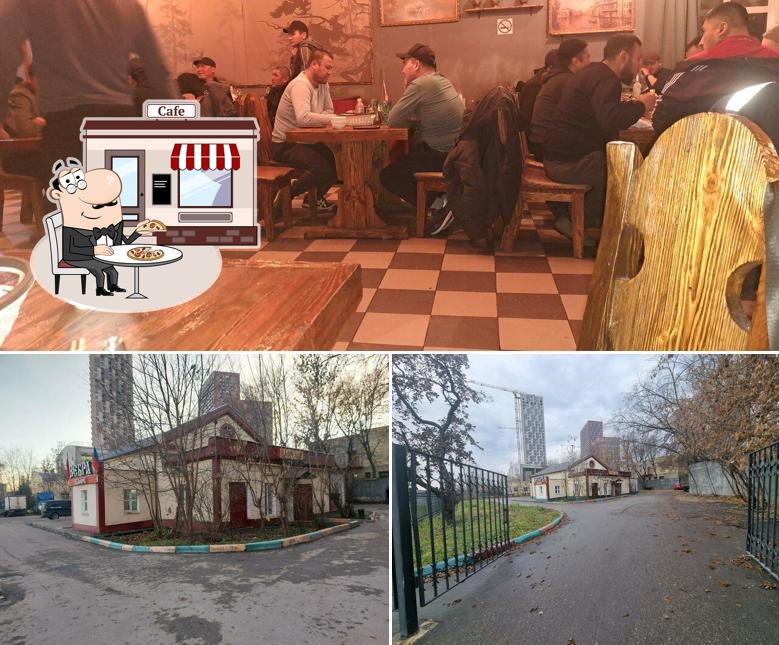 Зебра
