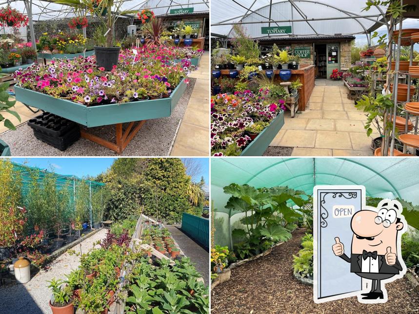 Primrose hill nurseries