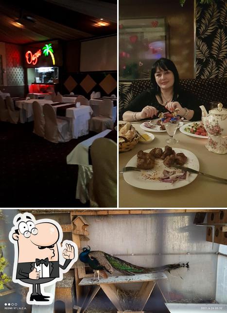 Оазис