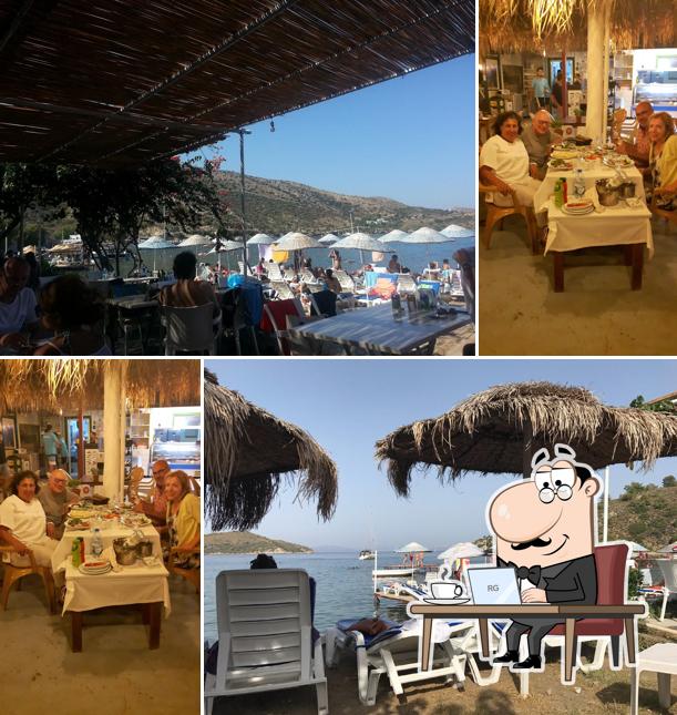 Kargı Restaurant Green Beach