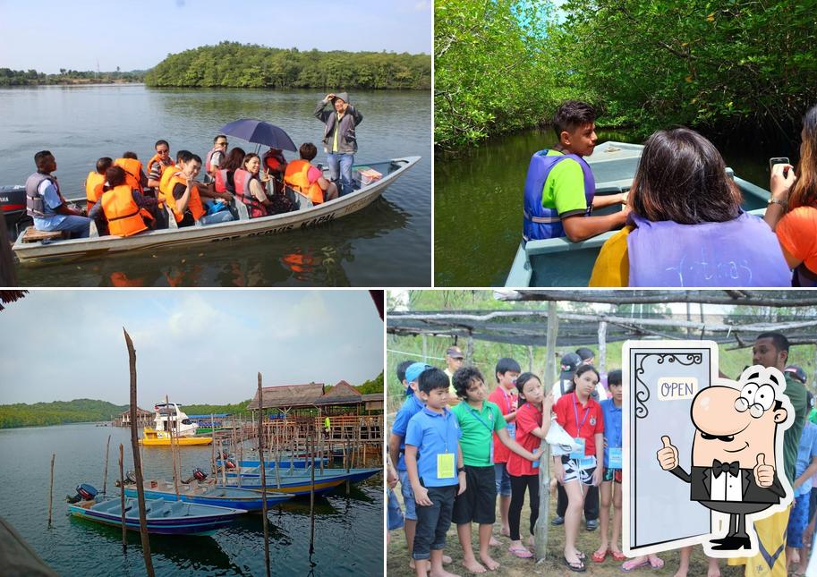 YETHAS TOURS & SERVICE, Mangrove & fireflies,atc