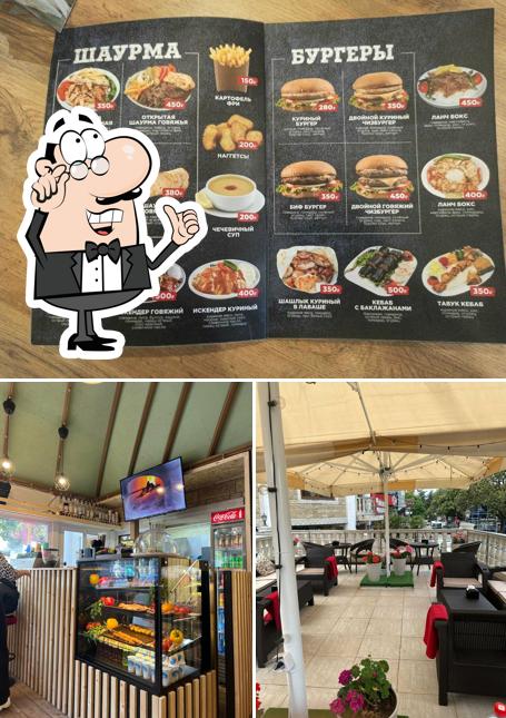 Ливанский кедр