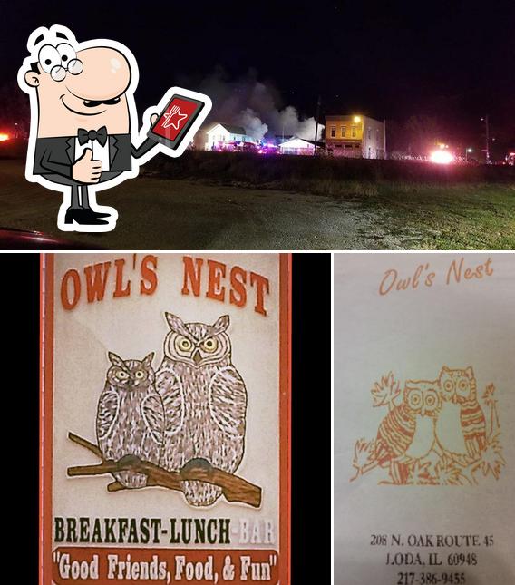 Owls Nest
