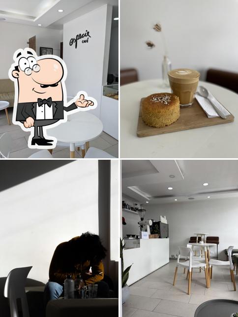 Especie café