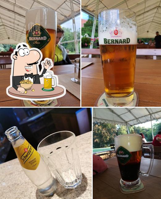 Restaurace Zámek Choltice