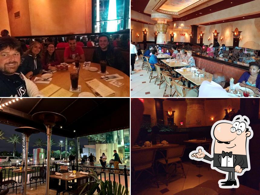 The Cheesecake Factory