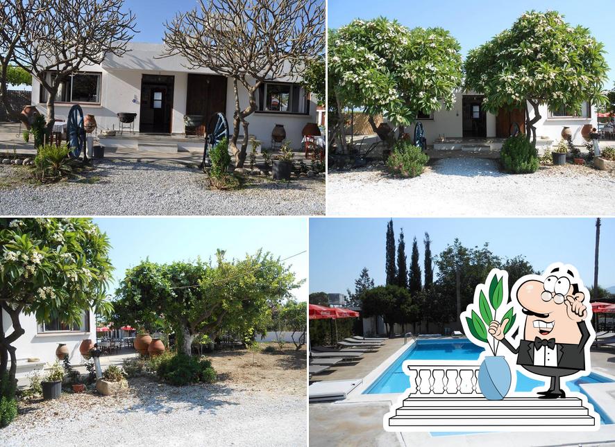 Şevket's Bar & Restaurant