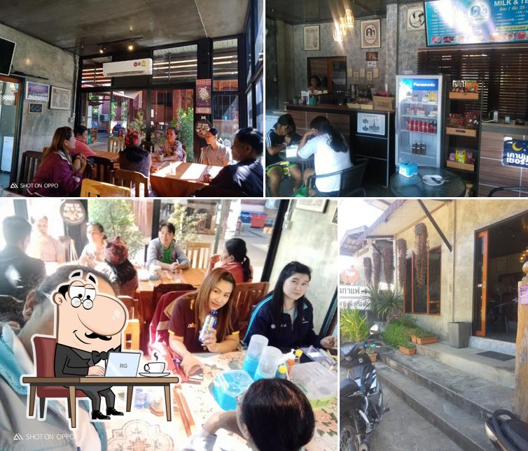 ดงกาแฟ