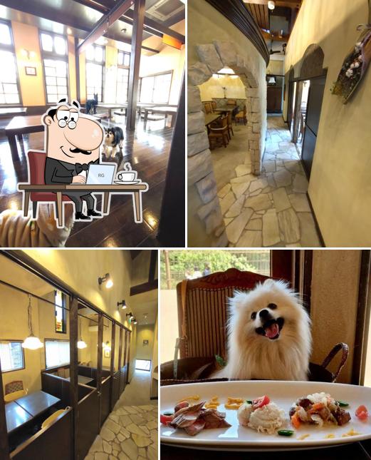 Dog Cafe さんぽ