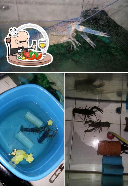 กุ้งล็อบเตอร์ ราชบุรี โพธาราม