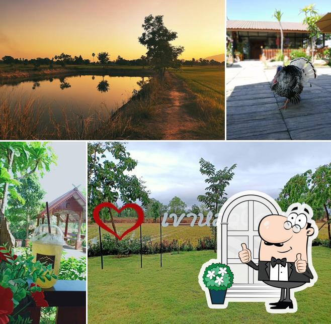 เขาหลวงคาเฟ่