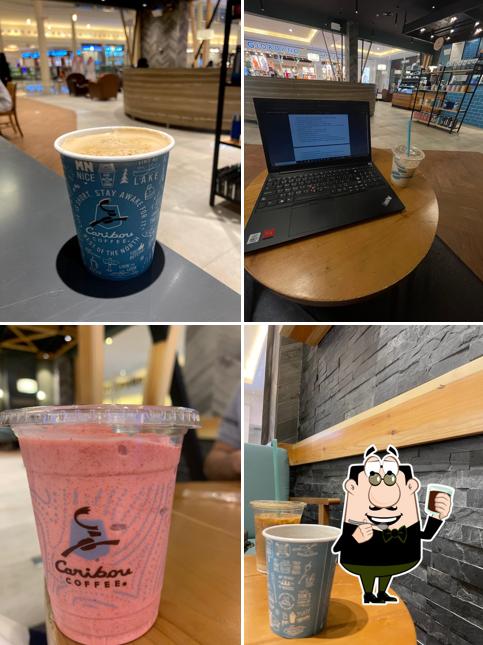 كاريبو كوفي - Caribou Coffee