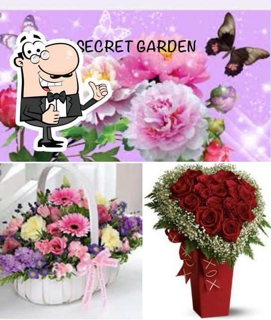 The Secret Garden
