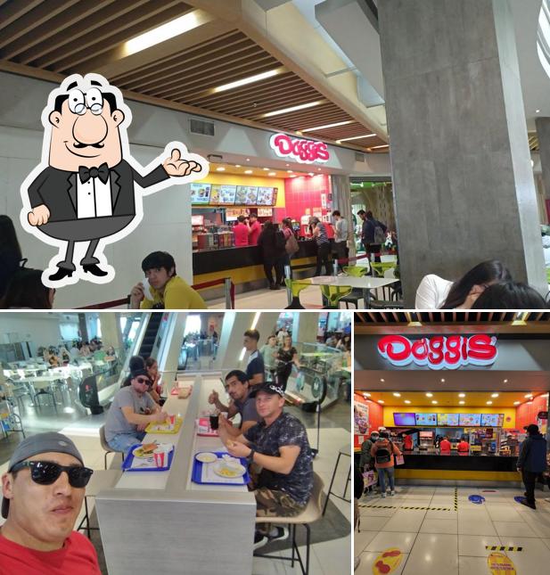 Doggis