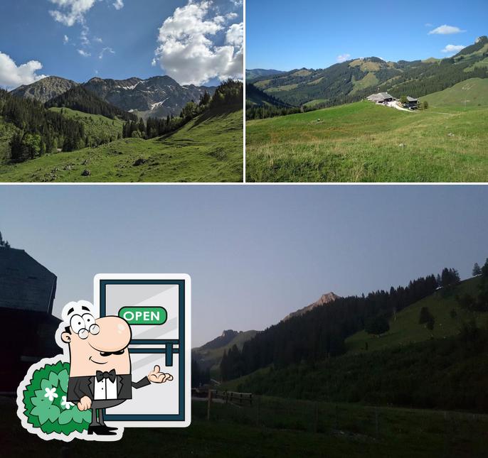 Alp Schönenboden