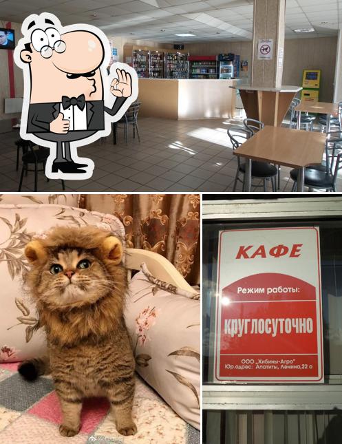 Кафе