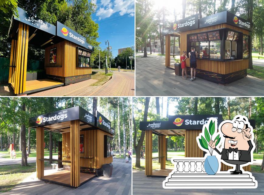 Stardogs