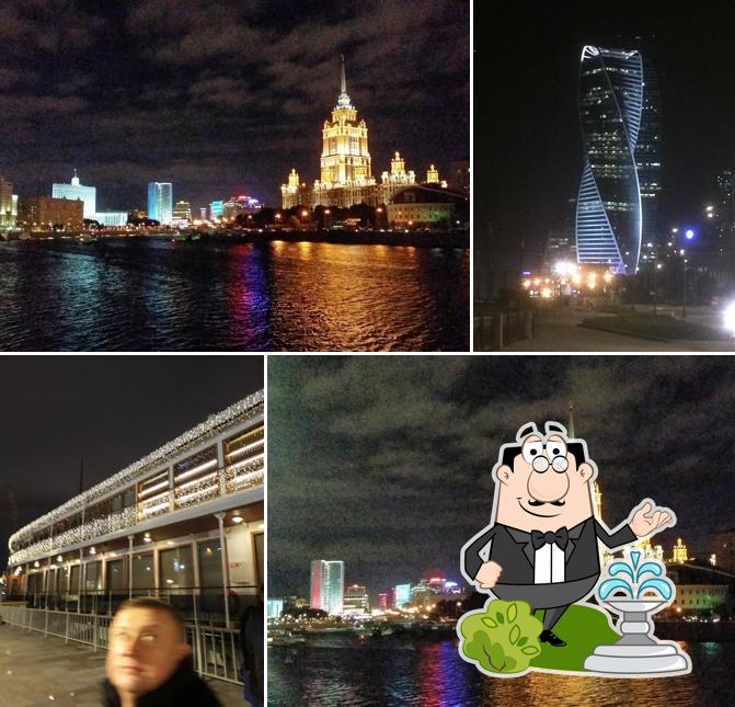 ЧАЙКА