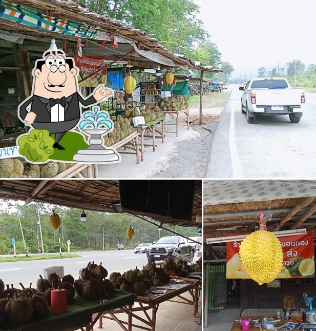 โชคหมอนทองทุเรียนปลีก-ส่ง