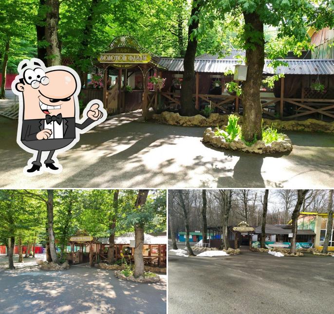 Золотой Фазан