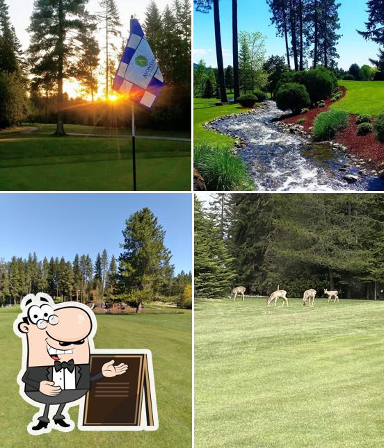 Avondale Golf Club