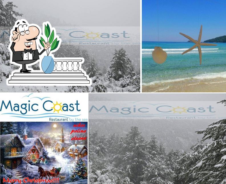 Magic Coast