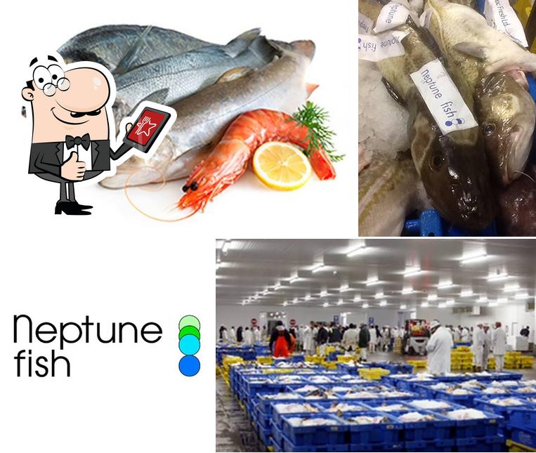 Neptune Fish