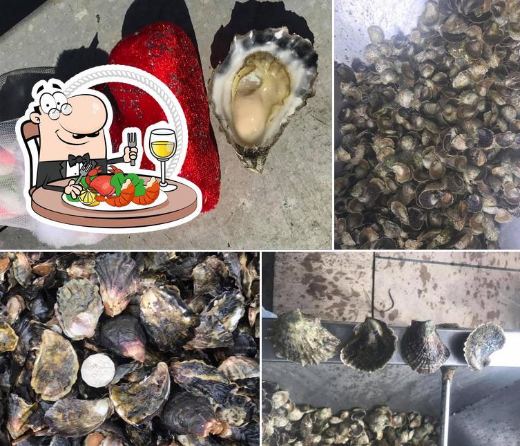 Old Salty's Oysters