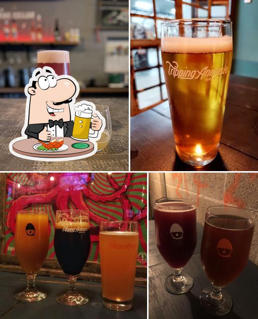 Tripping Animals Brewing Co.