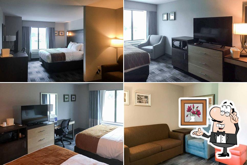 Comfort Inn & Suites