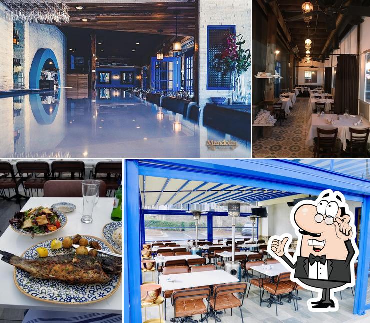 Mandolin Kitchen & Shisha Bar