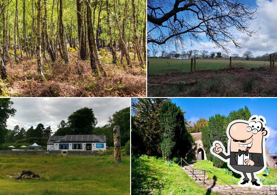 RSPB Arne