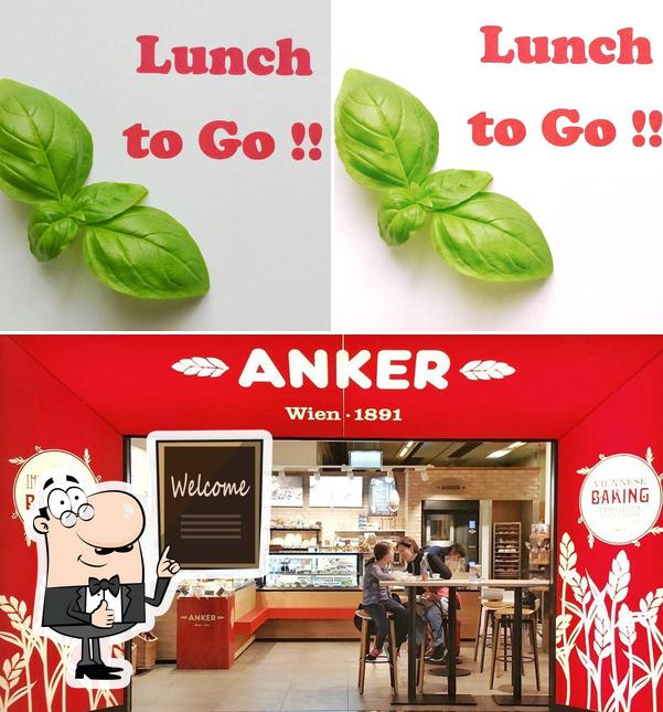 Lunch To go - Vienna Wien