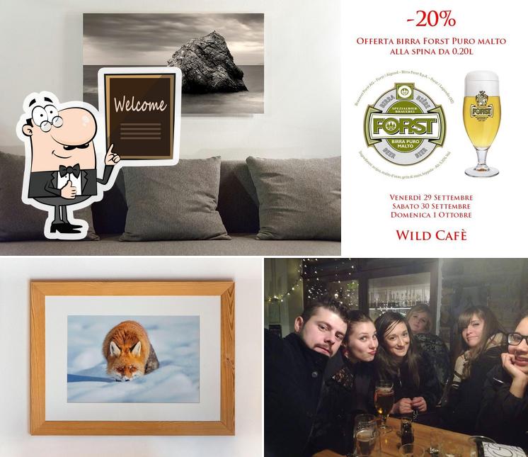 Wild Café