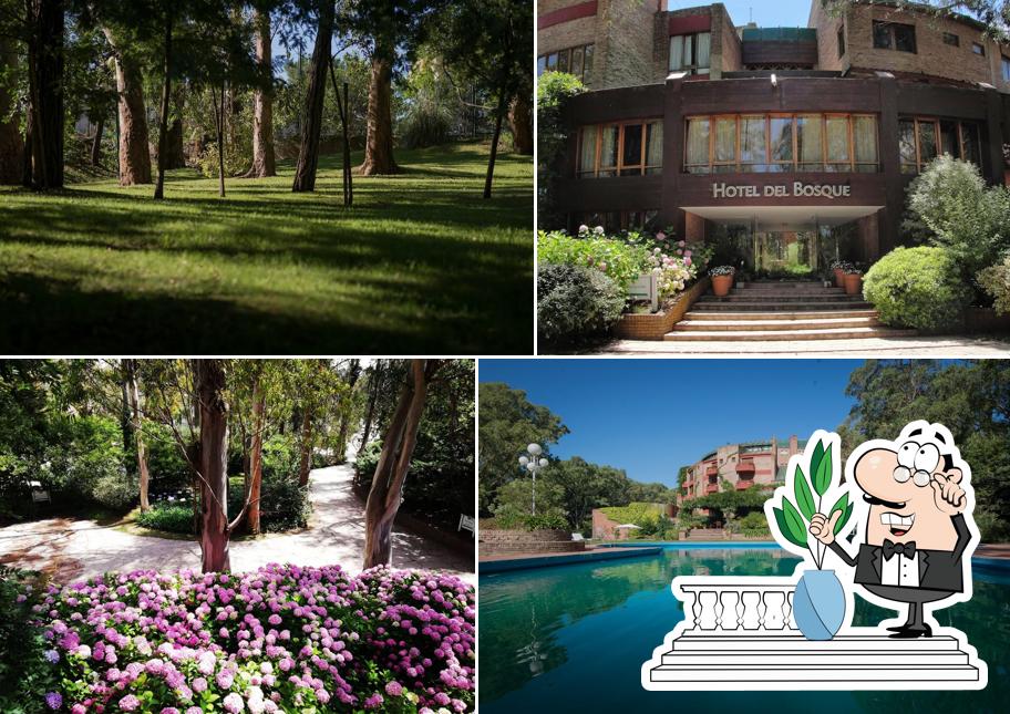 Hotel Del Bosque