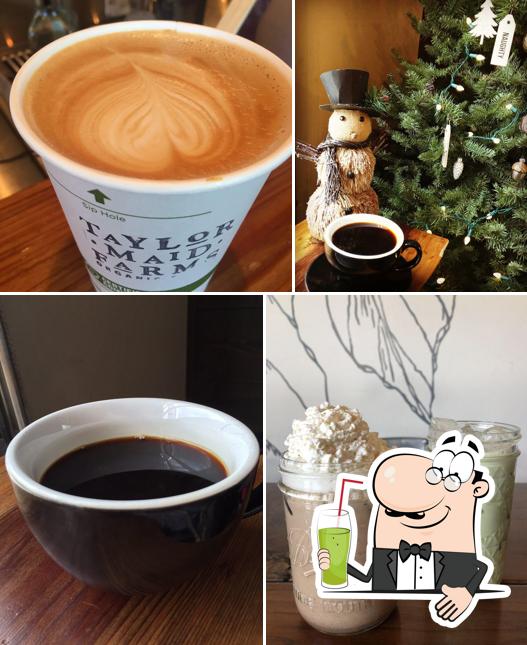 Taylor Lane Organic Coffee