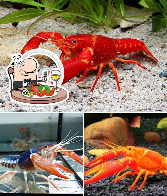 Singha cray fish