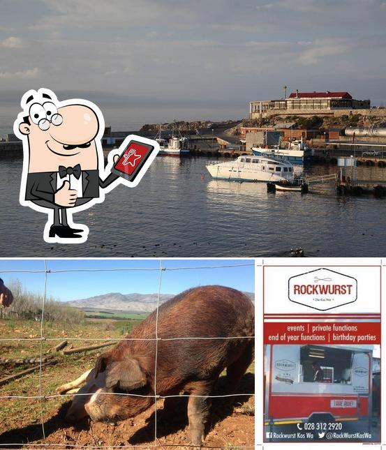 Rockwurst Kos Wa