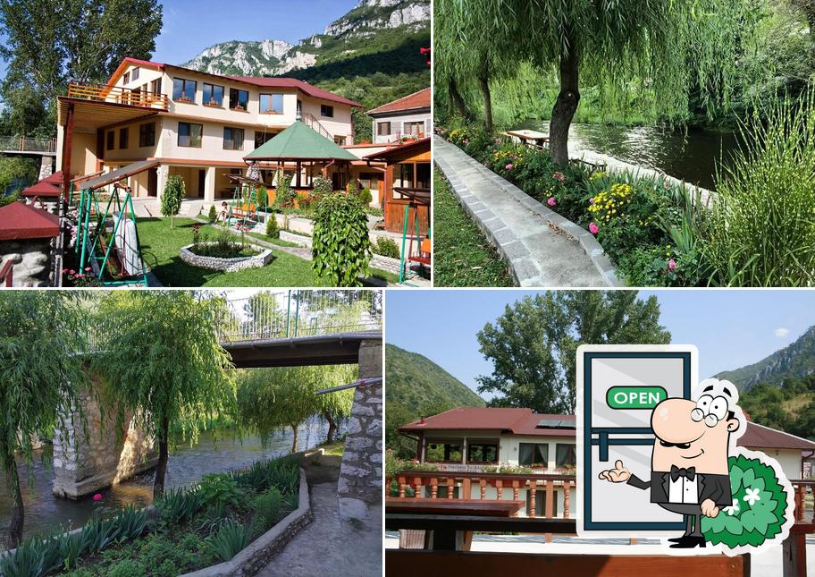 Cuibul Viselor Pension