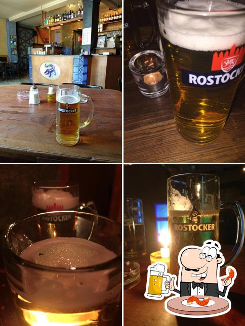 Crocodil Die Raucherkneipe Rostock KTV